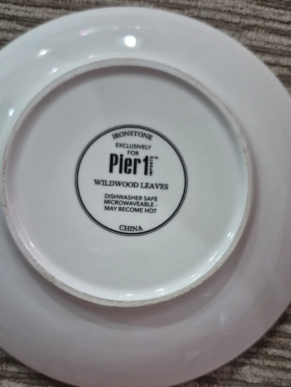 Pier 1 Woodland Leaves  Ceramic Plate with Colorful Fall Leaves. 6